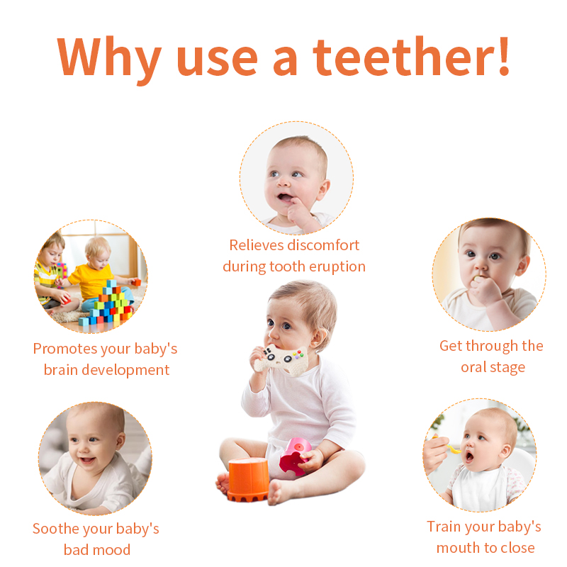 Mordedor de Silicone para Bebê - Baby Food Kitten avaliação e preço